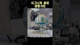 샌드뱅크를 닮은 아포가토 샌뱅가토! 오직 샌드뱅크에서만 만나보실 수 있습니다