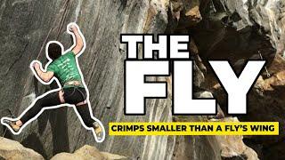 The Fly: 9a/5.14D/V13/14/8B/+