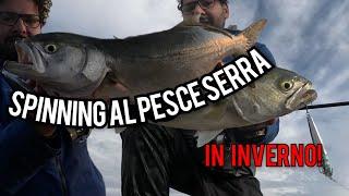 COME PESCARE i grandi PESCE SERRA in inverno