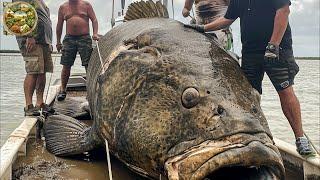 Nature Giant Grouper Fishing, How ships catch hundreds of tons of fish in the ocean - Emison Newman