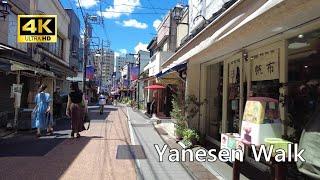 Take a walk in Yanesen (Yanaka, Nezu and Sendagi), Japan [4K] ／谷根千散歩