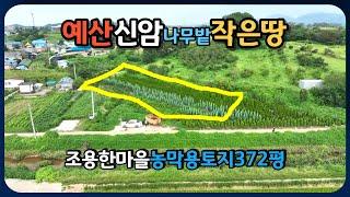 예산 신암면에 작은토지 나무밭을 매매합니다. 100평이상의 구거부지가 포함되어 있어서 실제로 쓰고 있는 땅은 500평이 넘습니다. 고덕IC와 예산IC의 중간지점에 있습니다.