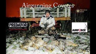 Adventures Afield: Airguning predators with an Airforce Airgun