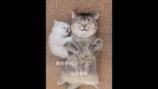 母親是生命里的一束光#live #love #shorts