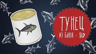 Тунец из банок - яд? Малозёмов проверит!