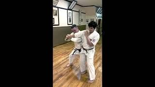 Michael Calandra "Seiunchin Bunkai NY 10/2022"