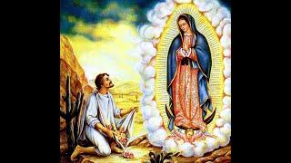 SI YO TE AMO DULCE MADRE VIRGEN MARIA ILY ERAZO VOCES AL CIELO