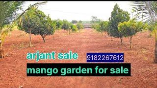 5#acer #mango garden #farm house land for sale #patancheru #nh65 #sangareddy #zaheerabad#fromhouse