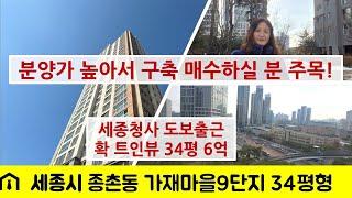 세종시 아파트 매매 - 종촌동 가재마을9단지 904동 여기서도 트인뷰가 좋은라인 84B타입 6억