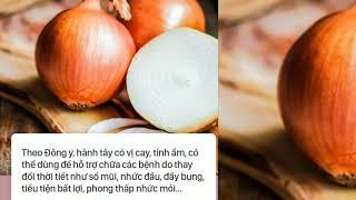 6 Công Dụng Chữa Bệnh Siêu Tốc Của Củ Hành Tây..