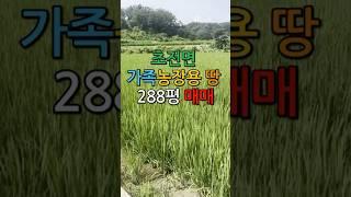 [성주땅매매] 초전면 문덕리 가족농장할땅 288평 매매