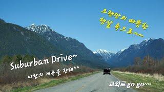 Suburban Drive ~~ 오랜만에 화창한 날에  교외로 드라이브^^  #햇살 #교외 #드라이브