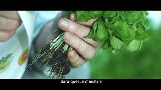 Basilico Genovese DOP spot TV "L' essenza di una terra"