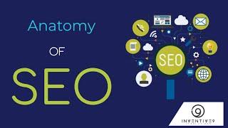 The Anatomy of SEO | SEO Facts