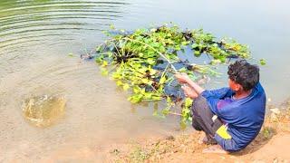 Fishing in Rainy Season Water ~ Little Boy Catching Koi Fish With a Hook in Village  Field