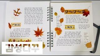 ️3일치 다이어리 꾸미기 / 가을맞이 감성다꾸 / 다꾸 asmr / Journal with me