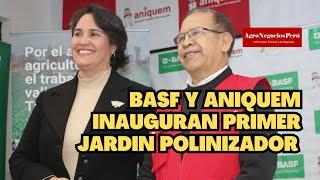 BASF Y ANIQUEM inauguran el primer jardín polinizador en Lima