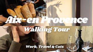 Walking Tour in Aix-en-Provence: Historical Old City