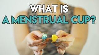 What Is A Menstrual Cup?