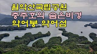 충주호의 숨은비경 악어봉 악어섬 게으른악어