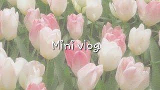 Mio and Yui vlog:[vlog #1].୧ ‧₊˚  ⋅ 