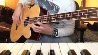 Isn't She Lovely - Stevie Wonder - Acoustic Bass Cover