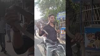 snake been #shorts #automobile #enjoymenttime#short #trending #youtubeshorts #youtube @enu help