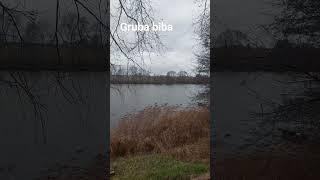 Gruba biba #sylwester