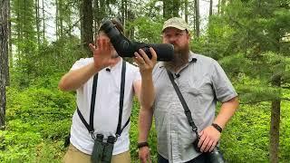 Birding Gear Essentials, Budget to Billionaire