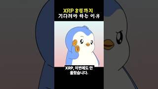 XRP 손절하기 전에 꼭 봐야 할 소식 (8월까지 기다려야 합니다)