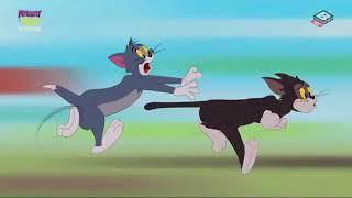 The Tom and Jerry Show Season 3 Episode 15   Vegged Out   Part 03