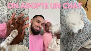 VLOG : ON A ADOPTÉ UN CHATON (je deviens une cat mom) | Shopping, préparatifs, son adaptation à nous