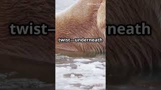 Secret about Polar Bears that you didn't know ! #facts #intellectualcuriosity #funfacts