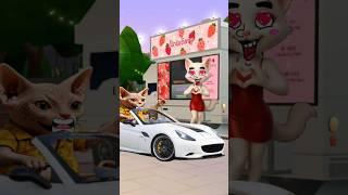 My Super Car So Cool #feedshorts #catlovers #catvideos #catcute