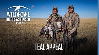 Teal Appeal - Inside the Blind