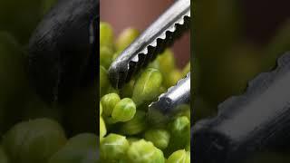 Satisfying Broccoli Peel! Macro ASMR Close-Up