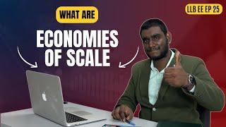 What are Economies of Scale? Explained in Tamil