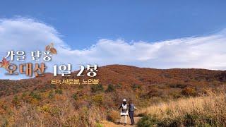 [4K] 만추 절정, 오대산 가을 산행 | 비로봉 to 노인봉 | 1일 2봉 성공| 상원사, 진고개코스 | 귀요미 동고비