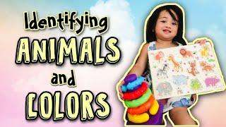 Jam at 2: IDENTIFYING ANIMALS AND COLORS | JanJam KINGdom