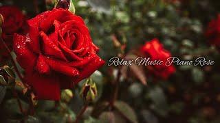 Relax Music Piano Rose