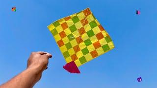 Kite Catching | Kite Looting New Video | Caught Kite | Kites