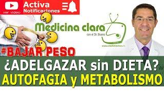 ADELGAZAR SIN ESFUERZO y DIETA: AUTOFAGIA ¿FUNCIONA? | Medicina Clara.