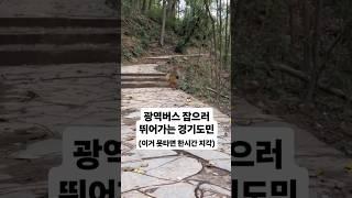 광역버스 잡는 경기도민 모습