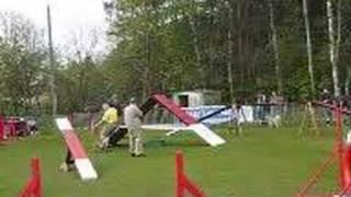 Eyki in Zonhoven agility