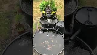 Rubbermaid stock tank goldfish pond