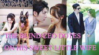 The blind CEO married a sweet wife and enjoys every day with her.