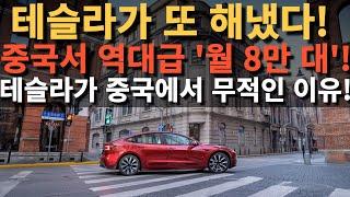 테슬라가 또 해냈다! 중국서 역대급 '월 8만 대'! 테슬라가 중국에서 무적인 이유!