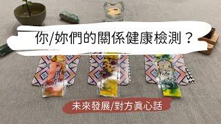 塔羅占卜你/妳們的關係健康檢測？未來發展與真心話（含字卡）|艸艸Tarot｜Pick a card.