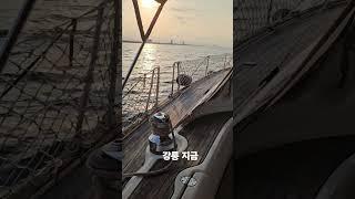 #강릉 #요트체험 #강릉요트체험 #강릉요트투어 ##영혼세탁소 #강릉핫플 #요트 #당일치기 #경포대 #세일링