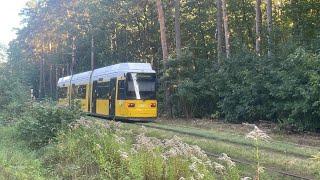 Tram through the Forest: Berlin Tram 68 through the Köpenick Forest